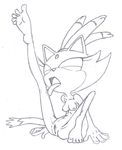  blaze_the_cat sonic_team tagme 