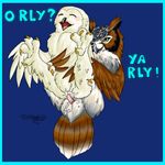  ambiguous_gender avian bird cloaca colored_background eyes_closed male meme o_rly open_mouth orly owl parody penis rule_34 tail windpaw wings ya_rly yarly 