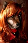  canine female photomorph pspynett red_hair solo wolf 