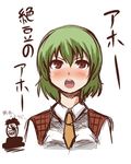  ascot blush brown_eyes crossover green_hair kazami_yuuka naruto naruto_(series) naruto_shippuuden necktie open_mouth plaid plaid_vest portrait short_hair simple_background sketch tobi touhou translated vest white_background zetsumame 