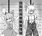  :t bandage_over_one_eye black_eye bow cast cirno eien_no_sai_tori fujiwara_no_mokou greyscale hair_bow hand_in_pocket height_chart height_difference injury long_hair monochrome mugshot multiple_girls pants short_hair suspenders touhou translation_request wings 