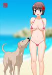  beach bikini blush dog henmaru_cg22 machino_henmaru micro_bikini outdoor outdoors stamp swimsuit 