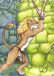  bdsm bondage feline lion loincloth looking_at_viewer mane penis raised_tail solo tail underwear vines 