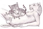  anthro bagheera bodypaint breasts duo feline female leopard lion lying mammal nipples nude on_back paintbrush painting plain_background white_background 