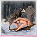  animal canine dog female feral forest human husky interspecies knot male snow straight temperature_play tree zoo 