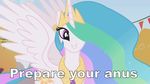  cutie_mark english_text equine female feral friendship_is_magic grin hair horn horns image_macro imminent_rape mammal multi-colored_hair my_little_pony pink_eyes prepare_your_anus princess_celestia_(mlp) rainbow_hair rape_face smile solo text unknown_artist winged_unicorn wings 