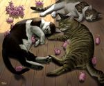  cat cat_focus closed_eyes fur lying matataku minimized monita_(matataku) no_humans original pig realistic sleeping tail 