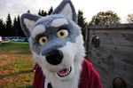  canine ef eyes fursuit hello nose wolf wulfer yellow 