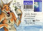  beer blotch canine diego dingo dog dog&#039;s_days_of_summer drunk goatee male postcard solo 