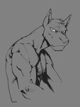  anthro biceps brown_eyes grey grey_theme kangaroo male mammal marsupial monochrome muscles muzzle nipples nude pointy_ears pose sketch snout solo superslickslasher 