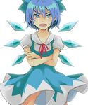  2011_sendai_earthquake_and_tsunami bad_id bad_pixiv_id blue_hair cirno crossed_arms dress highres qiangzi short_hair solo tears touhou 