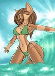  2006 anthro bikini canine female fox skimpy solo tailsrulz wave 