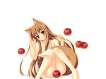  animal_ears apple horo spice_and_wolf tail white wolfgirl 