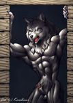  amber_eyes anthro armpit_hair armpits balls biceps canine fur grey_fur karabiner male mammal muscles navel nipples nude open_mouth pecs penis penis_tip raised_arm red_penis sheath solo standing tongue wolf 