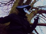  doctor human mammal mask not_furry plague_doctor real solo tree unknown_artist wood 