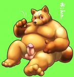  chubby erection fat japanese_text looking_at_viewer male nipples nude overweight penis sitting solo tanuki text unknown_artist 