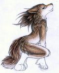  canine female fluffy nude ruaidri solo wolf 