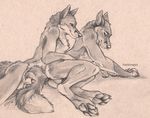  balls blackteagan canine canine_penis fox gay male nude penis sex sheath sketch 