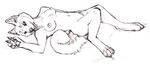  breasts calypte canine dog female husky nude on_back sketch solo 