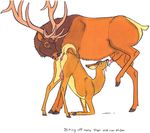  cervine crotchboob deer elk fellatio female feral hi_res hooves male oral oral_sex penis pussy randy_muledeer sex straight 