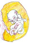  embryo f&oelig;tus feline holly_massey solo umbilical_cord 