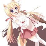  adapted_uniform animal_ears blonde_hair blue_eyes broom detached_sleeves fang hair_ribbon hakama_skirt japanese_clothes koyomi_(shinshia) long_hair miko open_mouth original razy_(skuroko) ribbon ribbon-trimmed_sleeves ribbon_trim solo tail thighhighs twintails very_long_hair white_legwear zettai_ryouiki 