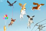  avian balloon bird canine crow dog flying power_lines tresbien what 