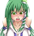 cute female green_eyes green_hair long_hair open_mouth touhou 