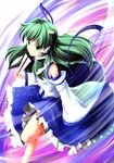  absurdres bad_id bad_pixiv_id detached_sleeves frog green_eyes green_hair hair_ornament highres kochiya_sanae long_hair nishi_masakazu snake solo touhou 