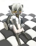  bell blush cat collar dress feline female gray_fur hair ka pillow pose short_hair sitting solo tail white_hair yellow_eyes 