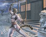  feline female kacey martial_arts pose rain robe solo sword tiger weapon wet_fur 