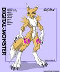  black-rat blue_eyes canine claws digimon ears eyes fox keanon_woods mammal muscles nose rena renamon solo tail 