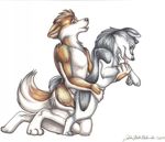  animal anthro anthro_bestiality canine female feral holding interspecies licking love male sex shadowraine straight tongue 