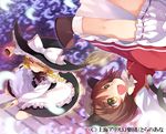  animal_ears battle blonde_hair bloomers braid broom broom_riding brown_hair cat_ears cat_tail chen duel fang glowing hat kirisame_marisa kito_(sorahate) mini-hakkero motion_blur multiple_girls multiple_tails perfect_cherry_blossom petals short_hair smile stairs tail touhou underwear upside-down witch_hat yellow_eyes 