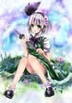  bad_id bad_pixiv_id bare_legs black_hairband bobby_socks bow bowtie daishou flower grass green_eyes hair_flower hair_ornament hairband katana konpaku_youmu panties pantyshot pantyshot_(sitting) scabbard sheath short_hair sitting socks solo sword tassel touhou underwear weapon white_hair white_panties 