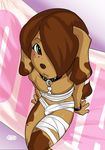  animal_ears bandage blush brown_hair bulge canine collar cute dog girly green_eyes hair looking_at_viewer male marty matoc short_hair sitting solo tail topless wristband 