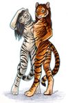  2005 blue_eyes couple feline female looking_at_viewer nude red_hair sara_palmer smile standing tiger white_tiger 