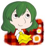  ascot closed_mouth daico green_hair kazami_yuuka looking_up lowres plaid plaid_background portrait short_hair smile solo touhou 