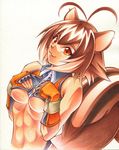  abs blazblue female looking_at_viewer makoto_nanaya mammal rodent solo squirrel tail unknown_artist video_games weapon 