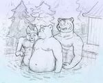  bathing bear canine chubby feline gay irian male nude outside tiger trio wolf 
