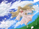  blonde_hair cloud day grass highres kuroto lily_white long_hair solo touhou 