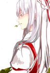  bad_id bad_pixiv_id chinaanchor colored_eyelashes eyelashes fujiwara_no_mokou grass lowres mouth_hold profile solo stalk_in_mouth touhou white_hair 