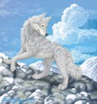  ambiguous_gender canine cloud clouds colored detailed detailed_background digital feral grass kekpafrany mammal mountain realistic rock snow wolf 