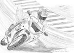  canine fox helmet hi_res male motorcycle sketch spr tzr250 wred wred_character yamaha 