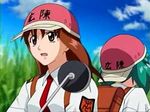  2girls angry aqua_hair backpack bike brown_eyes brown_hair cloud clouds doi_shizuha grass green_hair helmet honjo_mikaze long_hair necktie open_mouth riding school_uniform scooter short_hair sky stratos_4 talking tall_grass tallgrass twintails 