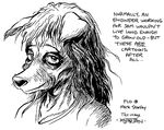  1998 anthro black_and_white bowmanswolf canine female florence_ambrose freefall karno mammal monochrome old portrait solo wolf 