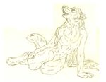  canine female nude sketch solo watergazer_wolf werewolf wolf 