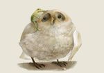  animal beak bird claws feathers frog kodama_(artist) no_humans wings 