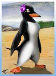  beach beak bird corrvo female flower flower_in_hair gentoo_penguin penguin seaside solo 