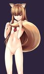  animal_ears brown_hair canine covering_self female flat_chest hair hentai horo long_brown_hair long_hair looking_at_viewer necklace nude ookami_to_koushinryou ookamimimi pussy red_eyes solo standing tail unknown_artist 